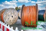 img-shaz124.jpg